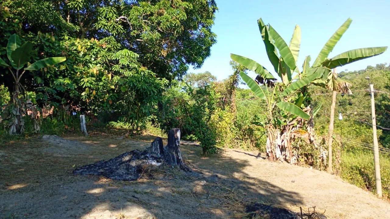 Terreno Brasileirinho 10x32m - Foto 4