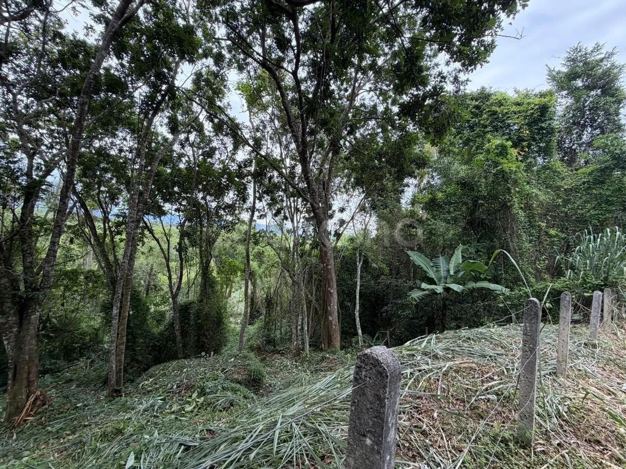 Terreno a venda 4800m² Canto Lamim proximo a Jurere. - Foto 3