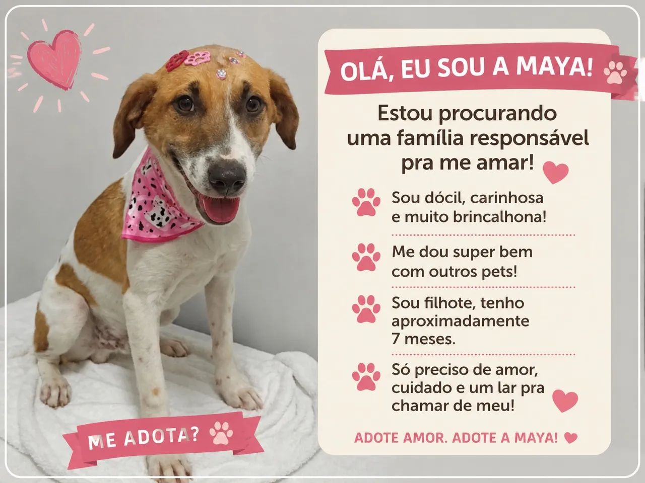 Maya procura uma família 