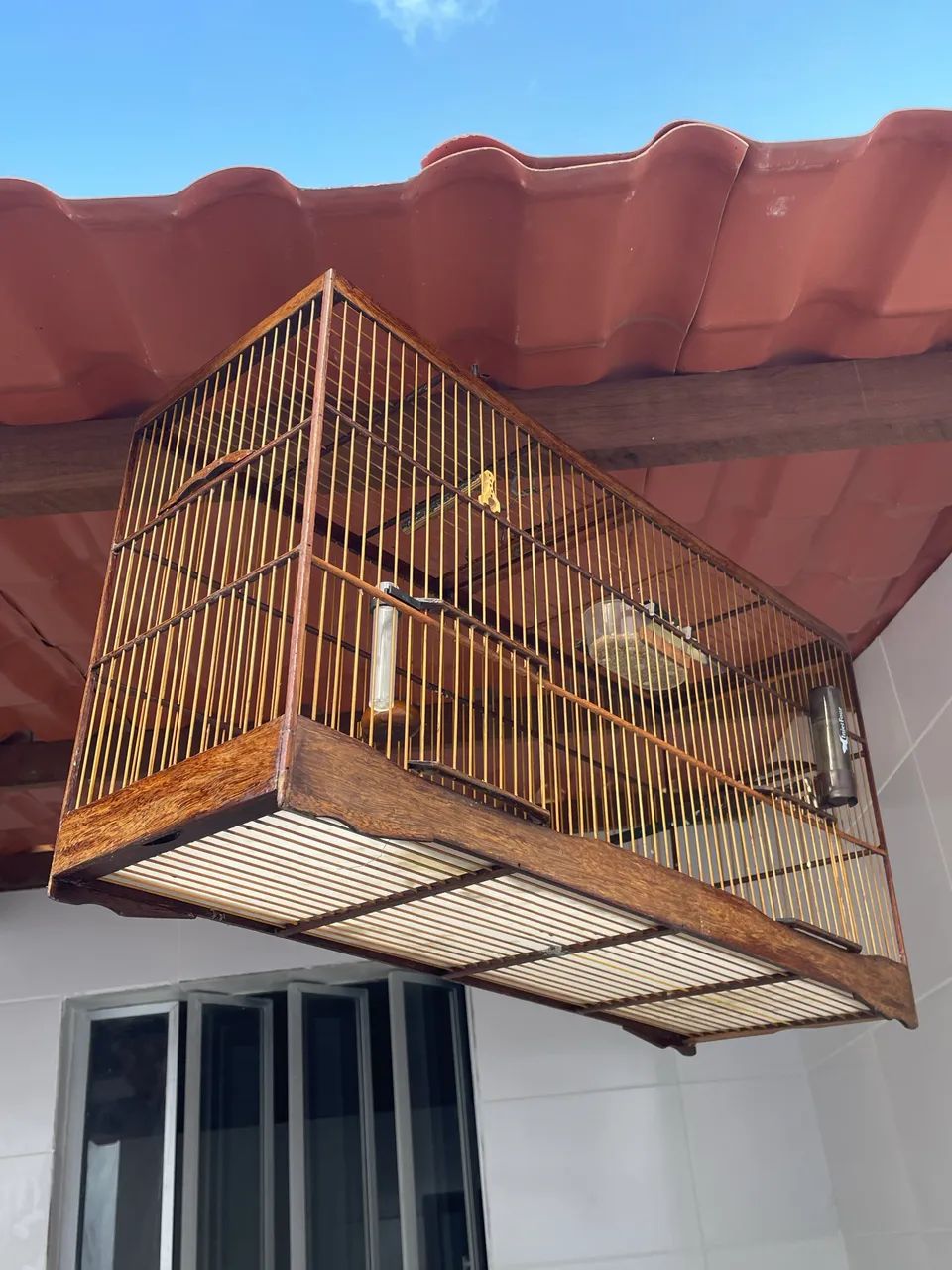 Voador Tuitui de luxo - Foto 2