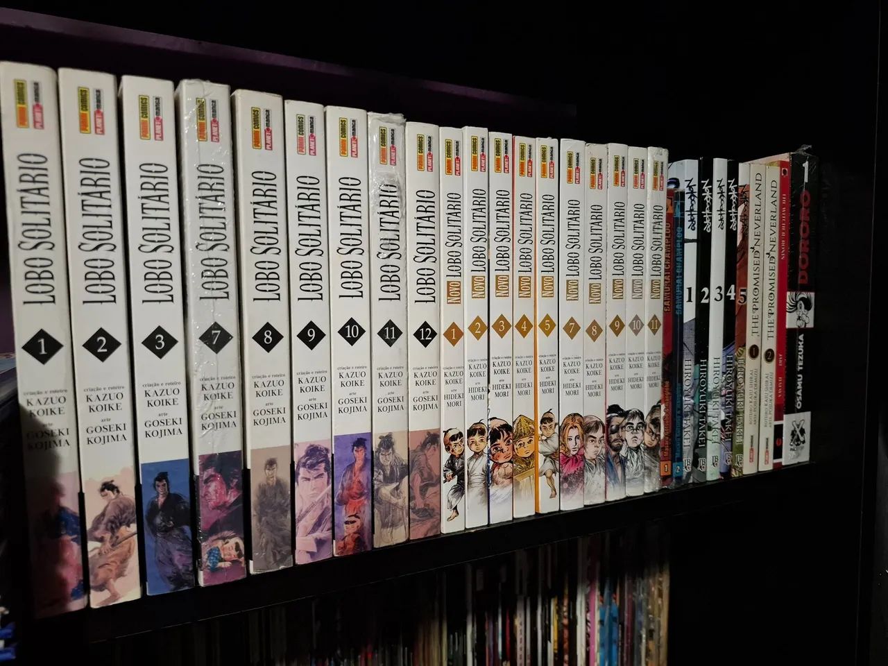 COLEÇÃO IMENSA DE MANGÁS