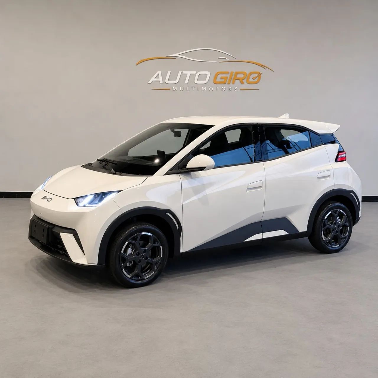 BYD Dolphin Mini (Elétrico) 2027