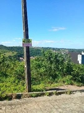Terreno Bananeiras 