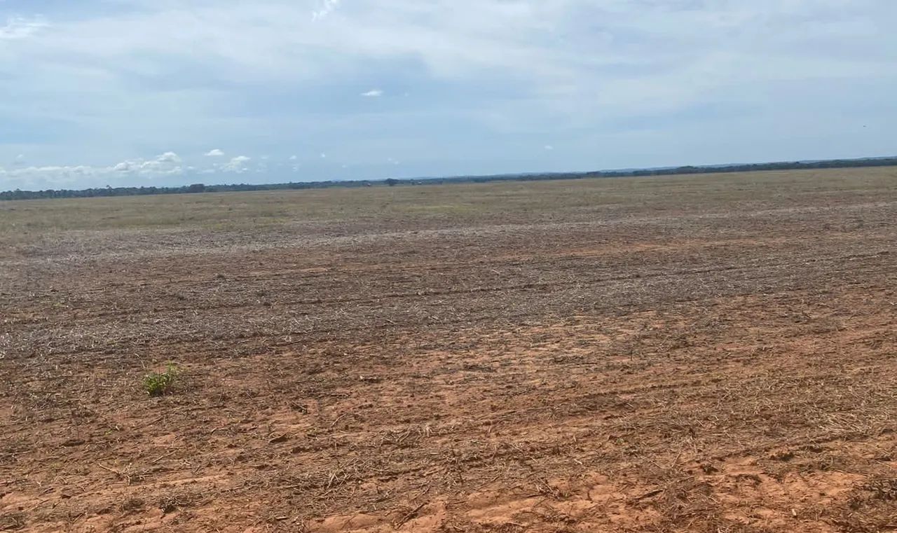 Fazenda de arrendamento 1.000 hec em nova Maringá MT.  - Foto 2