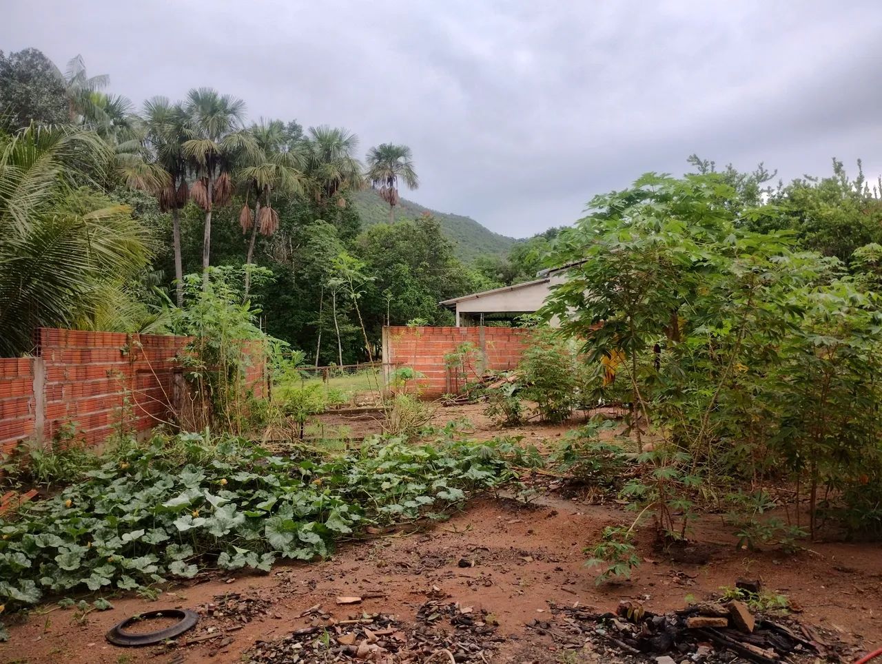Foto - Palmas - Plano Diretor Sul