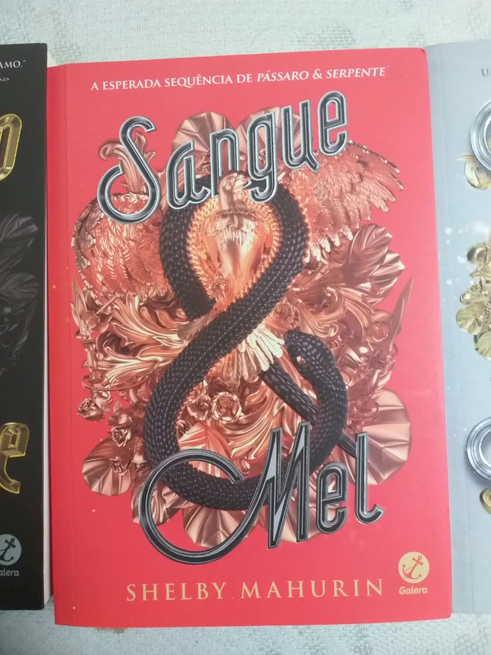 Passaro e Serpente Box - Foto 3