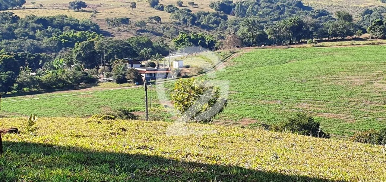 fazenda - Centro - Alpinópolis - Foto 2