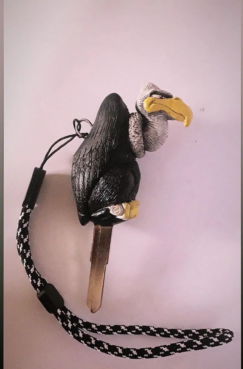 Chave personalizada  - Foto 5