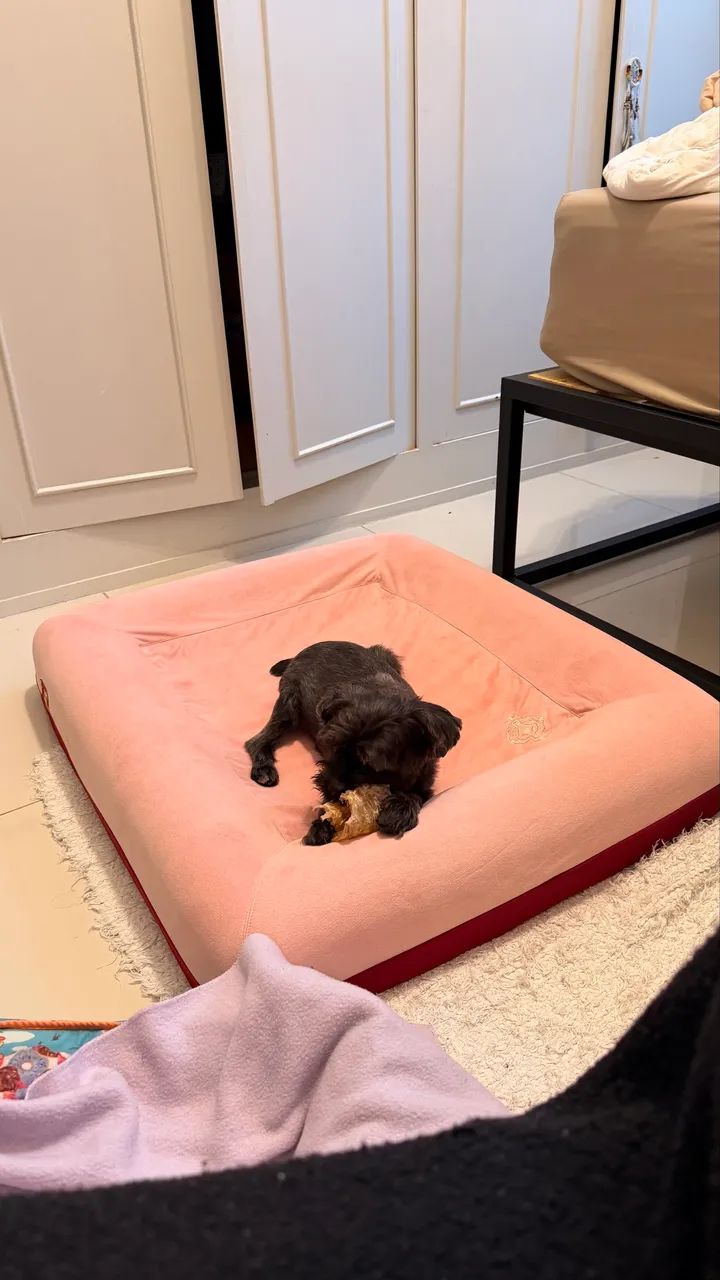 Cama para Cachorros Zee.Bed Najima - Tamanho G - Foto 4
