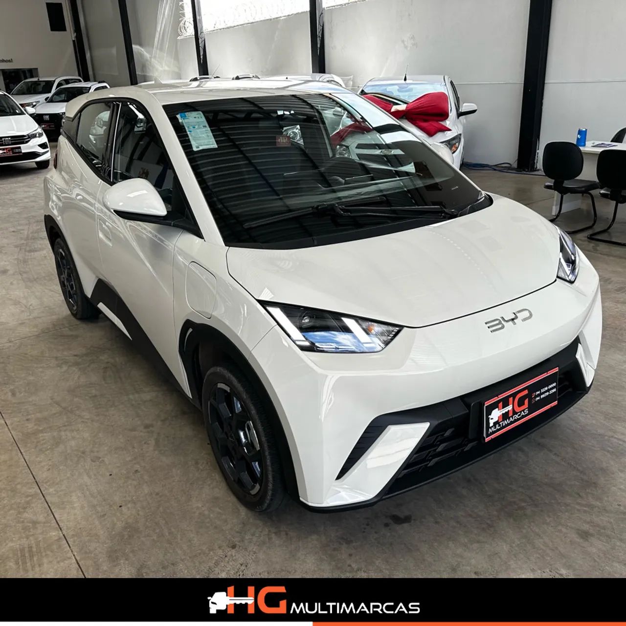 BYD Dolphin GS (Elétrico) 2026 - Foto 2