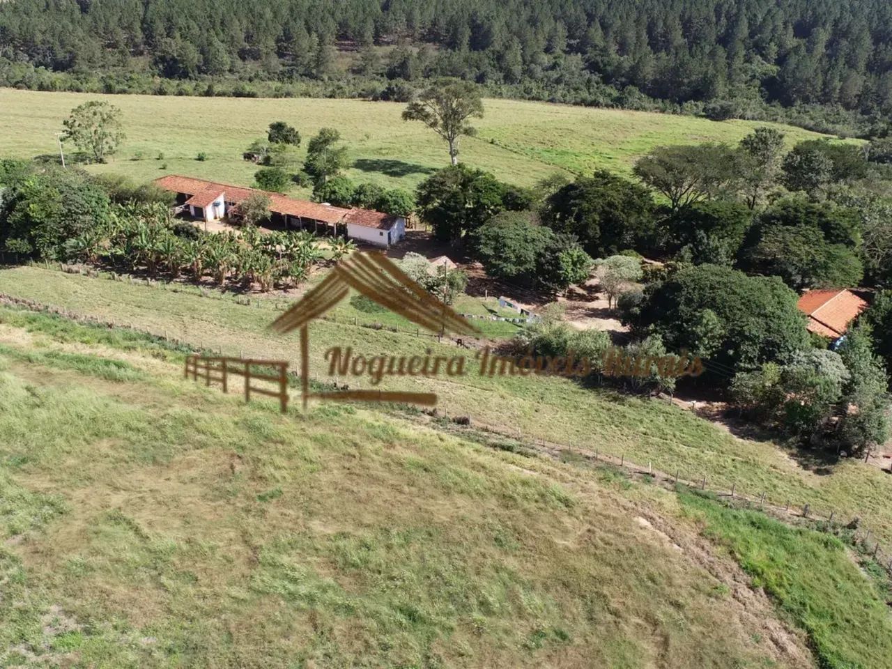 Fazenda com 53 alqueires para plantação de laranja - Foto 5