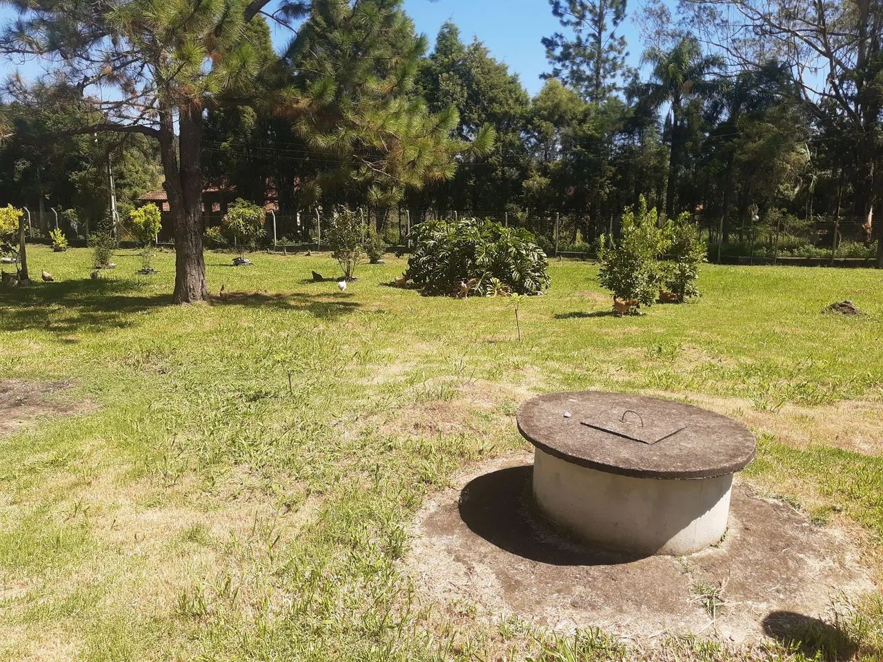 Lindo Sítio  - Foto 4
