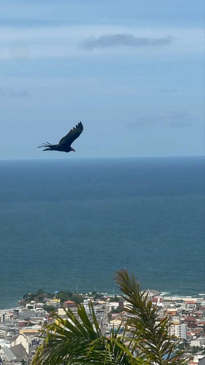 Fotografias para o usaria decorativos.  - Foto 6