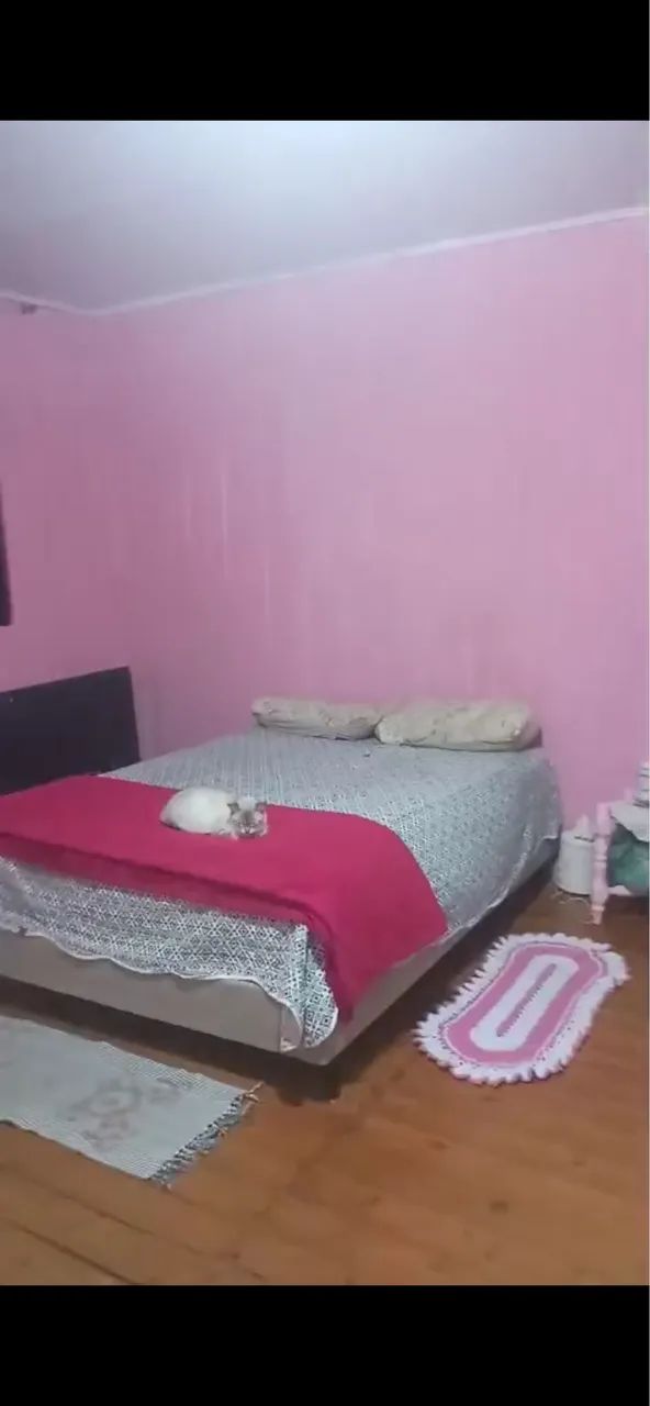 Vendo sítio  - Foto 4