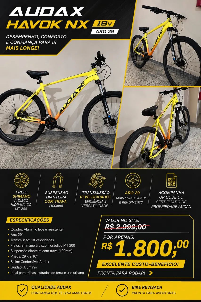 Bicicleta audax 