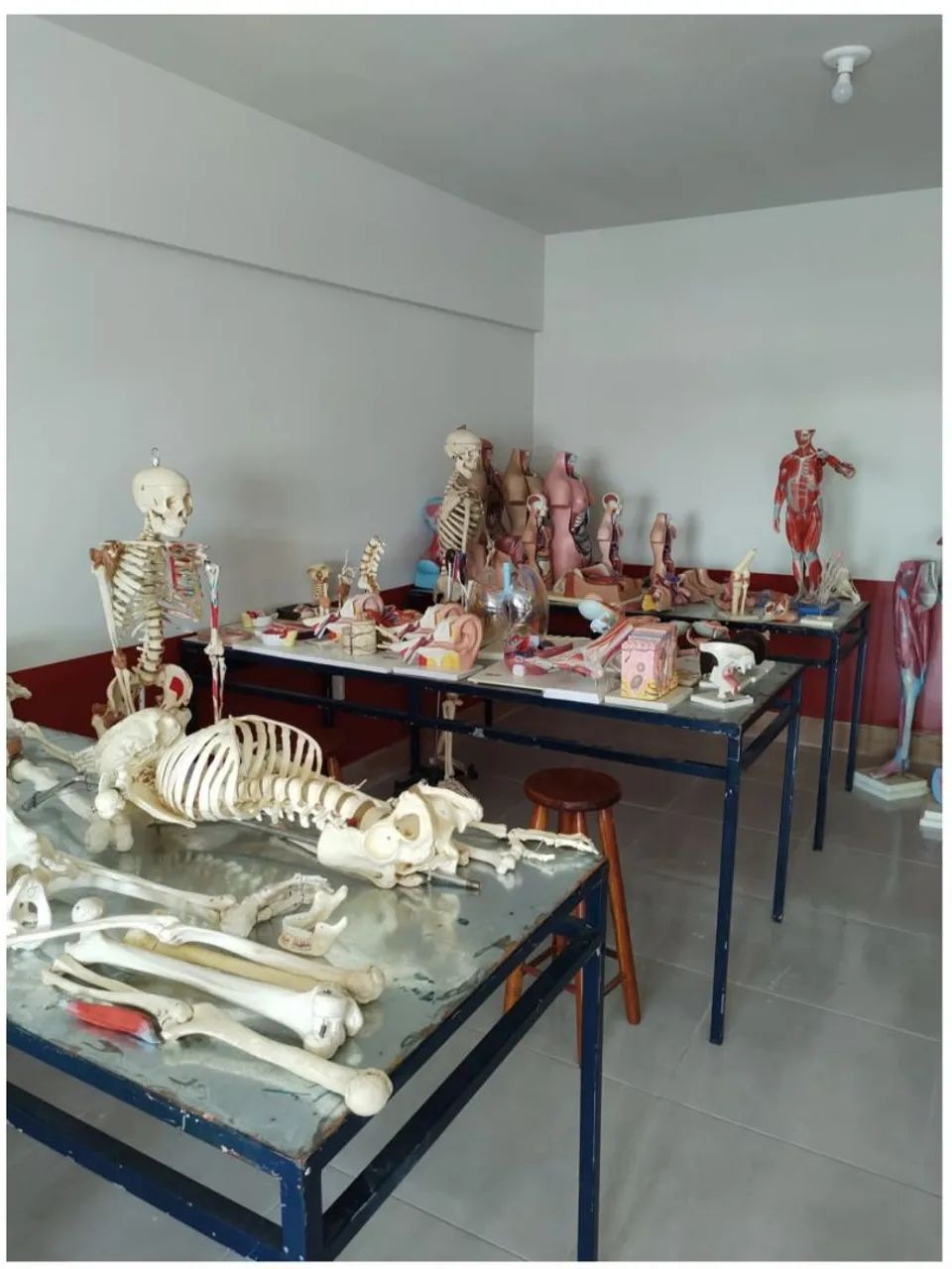 Laboratório completo  - Foto 5