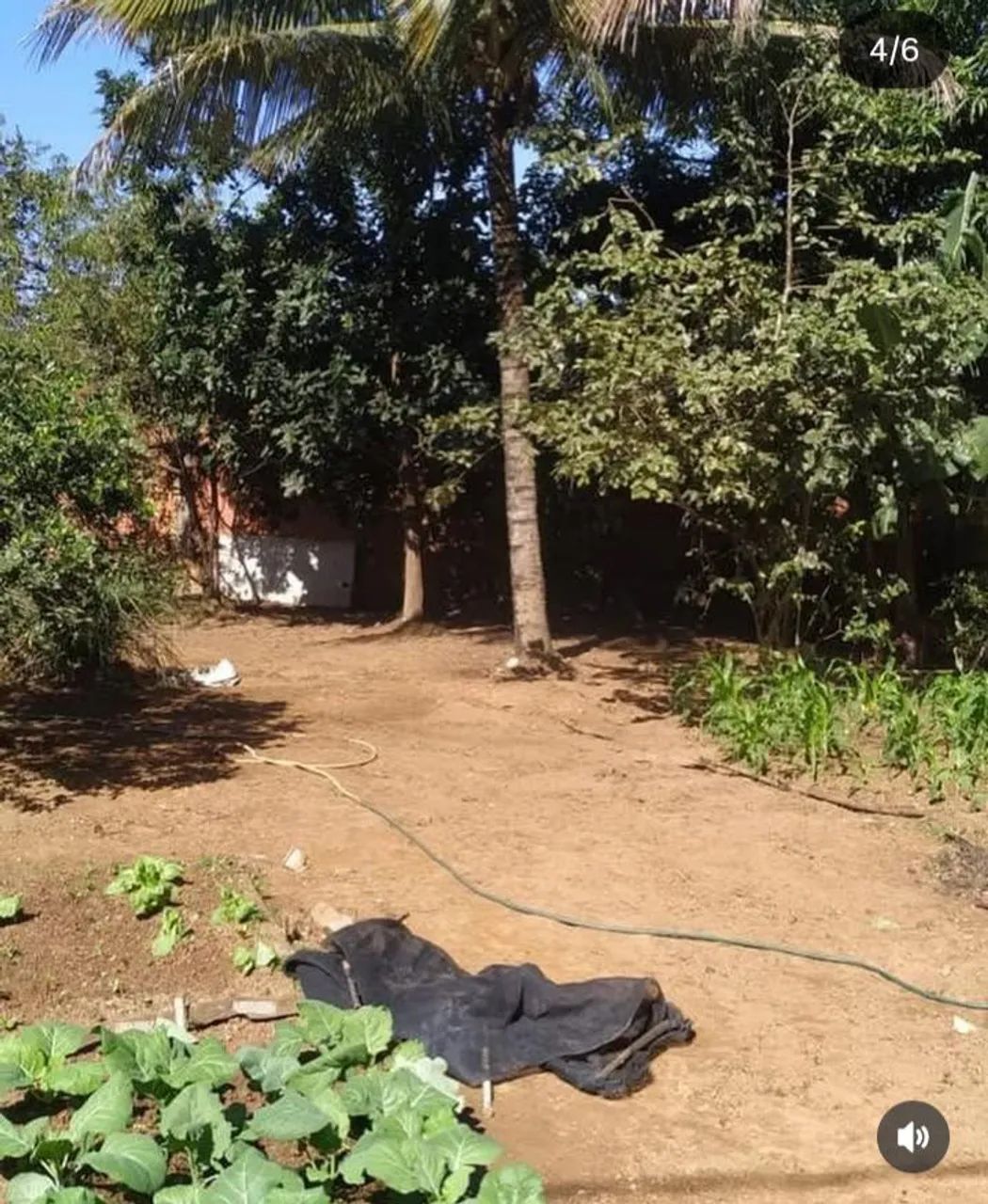Terreno  - Foto 2
