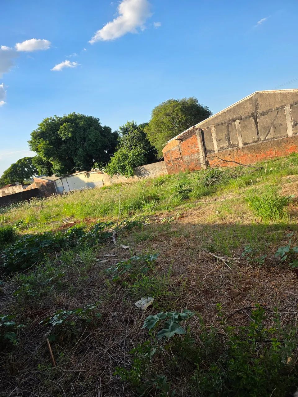 Terreno 2 mil mts² - Foto 2