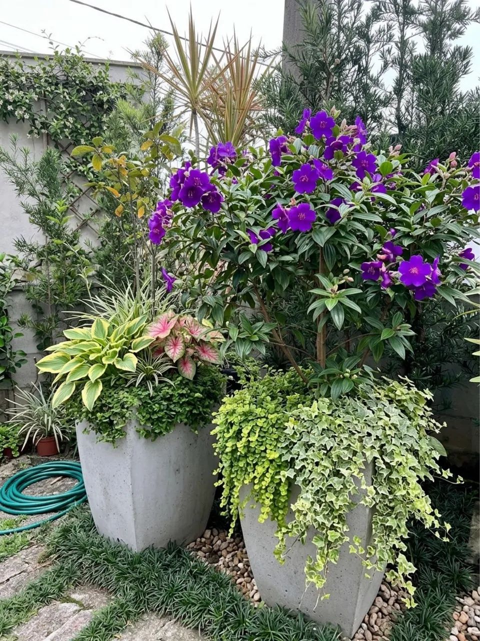 Vazos decorativos e de jardinagem  - Foto 5