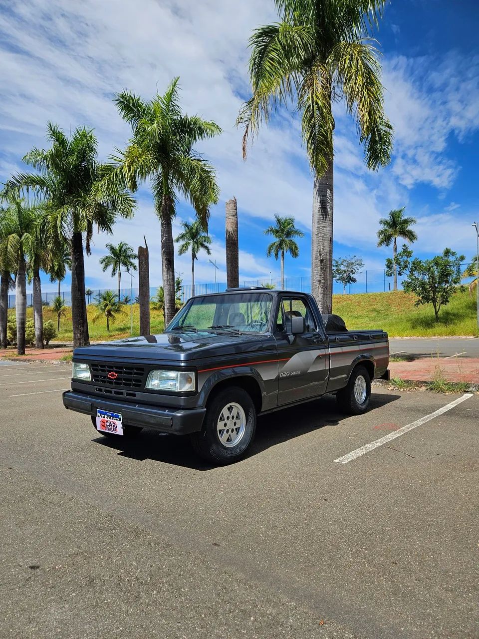 Chevrolet D-20 D-20 S / Luxe 3.9/4.0 T.Diesel 1996