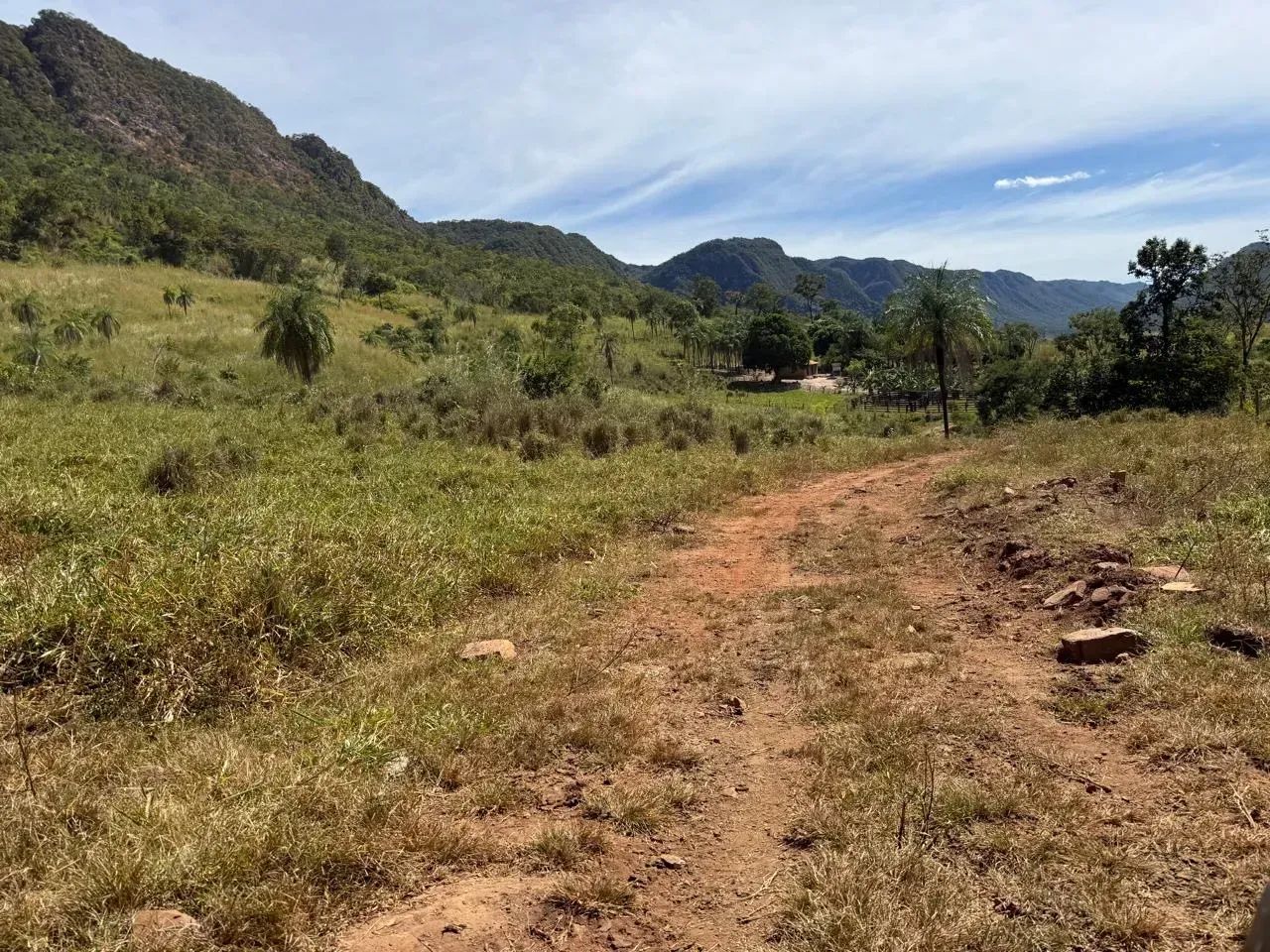 Fazenda  - Paranã - TO - Foto 5