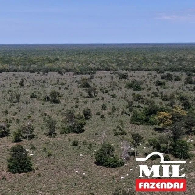 1080 Alq. (5.228 HÁ) Cocalinho -MT - Foto 4