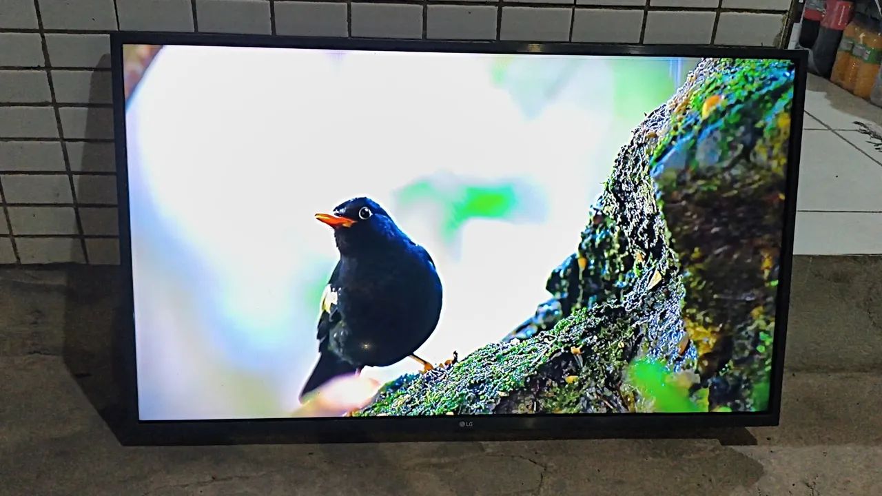 Tv Smart LG 43 Polegadas Imagem HDR Completa  - Foto 2