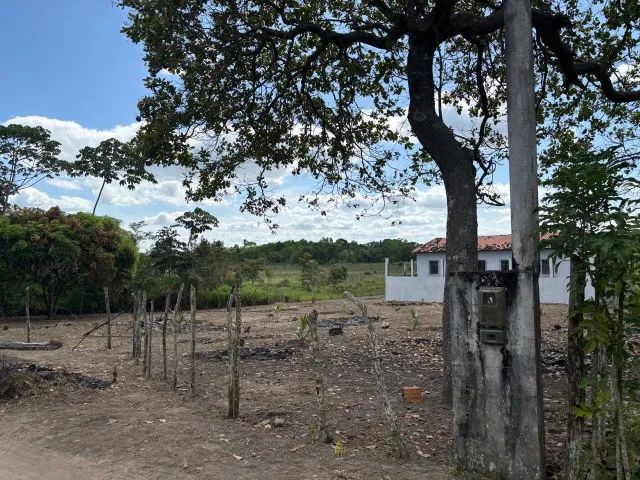 Sítio com casa grande em Santo Amaro - Foto 4