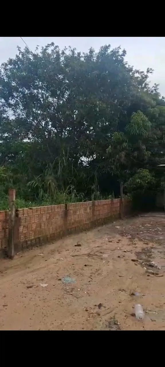 Foto - Manaus - São Jorge