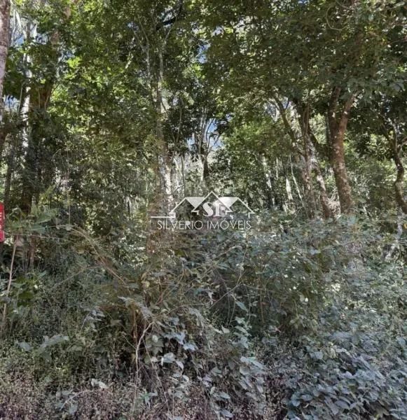 Terreno- Petrópolis, Araras - Foto 5
