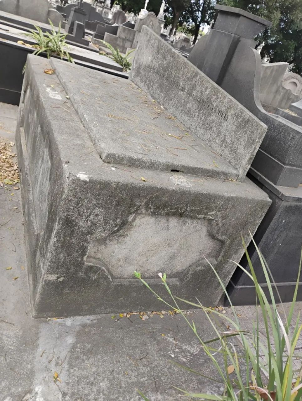 Jazigo Perpetuo  - Foto 2