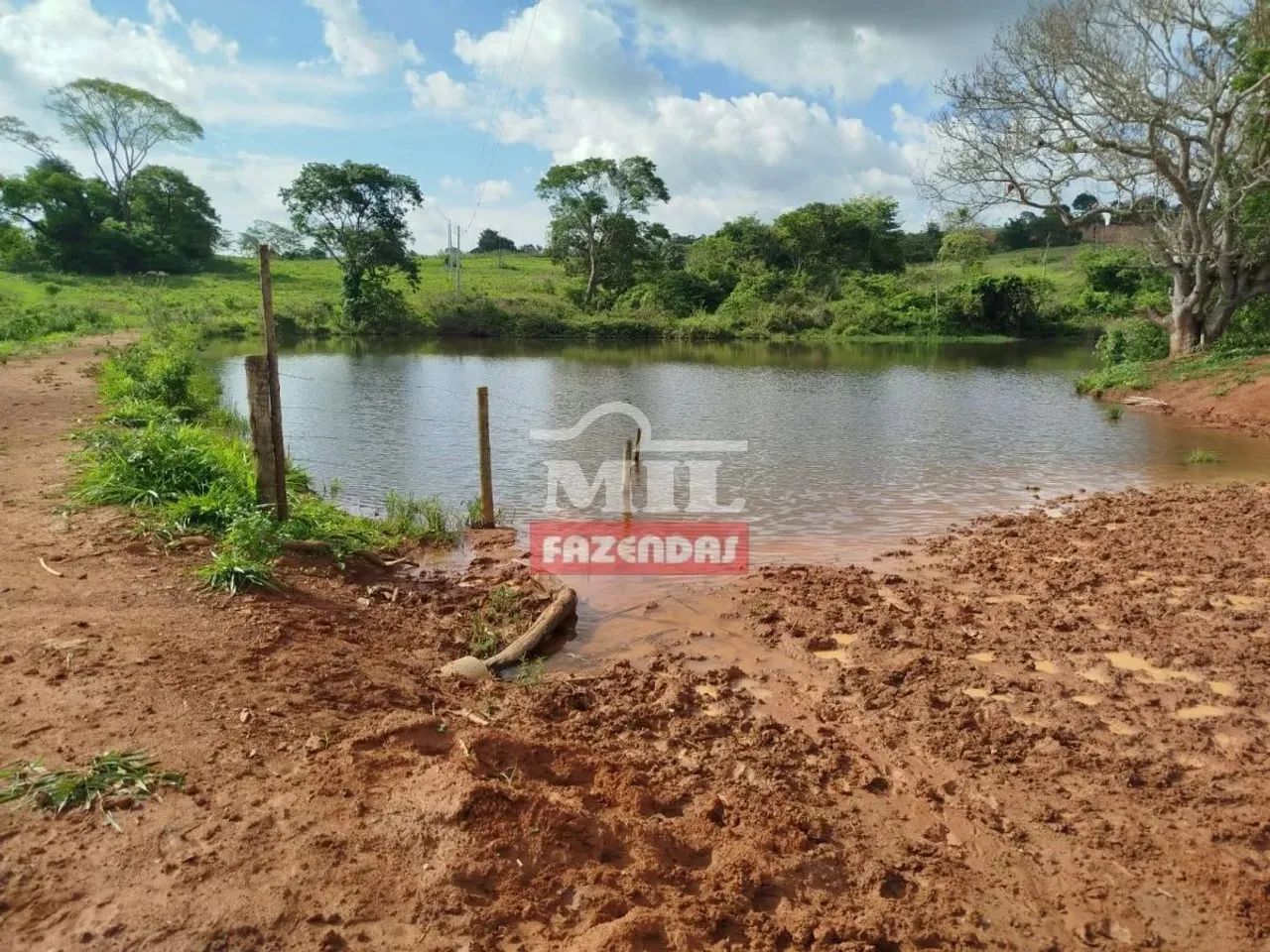Chacara 3,5 alqueires (16,96 HAC) Araçu - GO - Foto 4