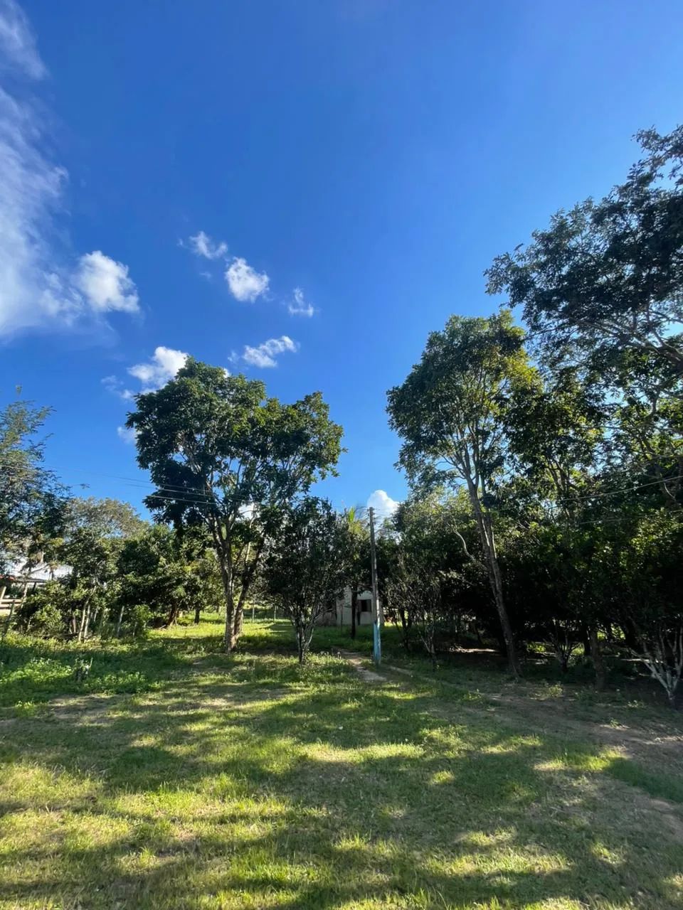CHÁCARA EM BELA VISTA - Foto 4