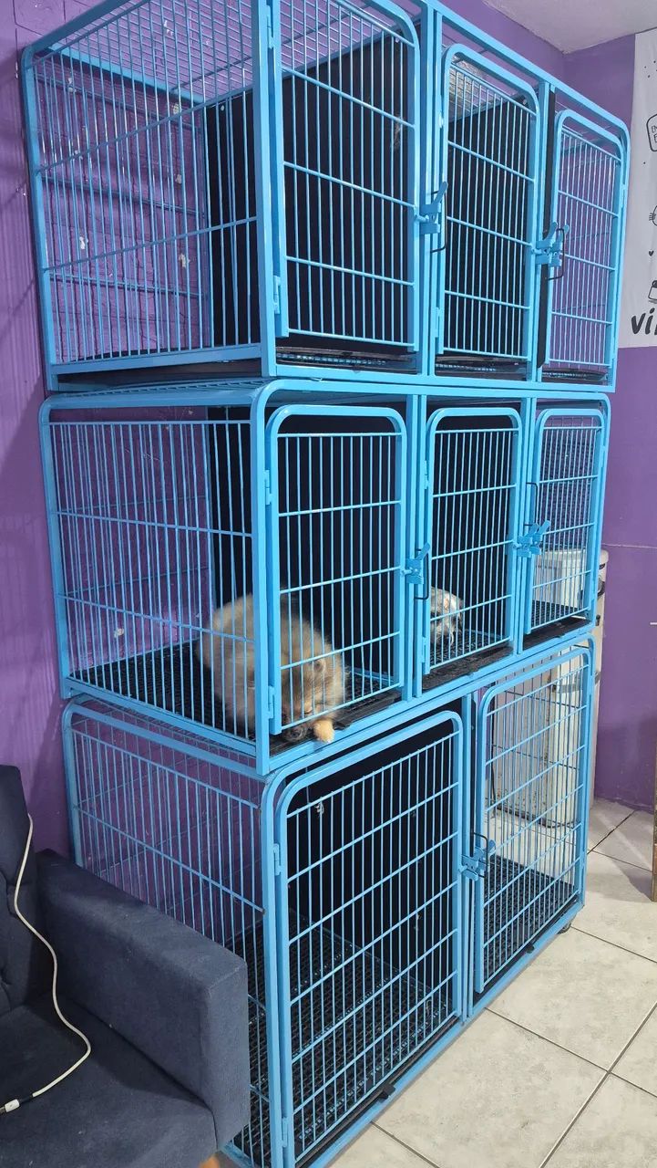 Canil de cachorro . - Foto 2