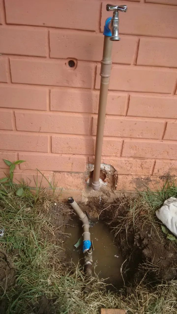 jazigo Bosque da Esperança Quadra IPÊ