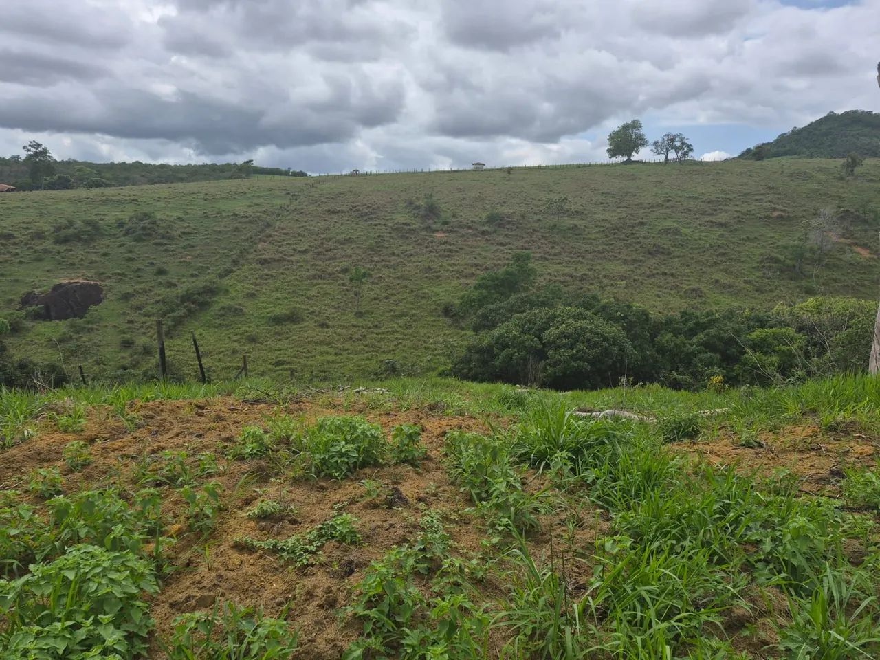Terreno - Foto 2