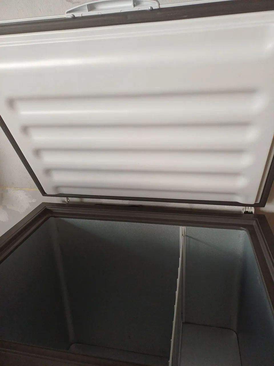 Vendo freezer  - Foto 2