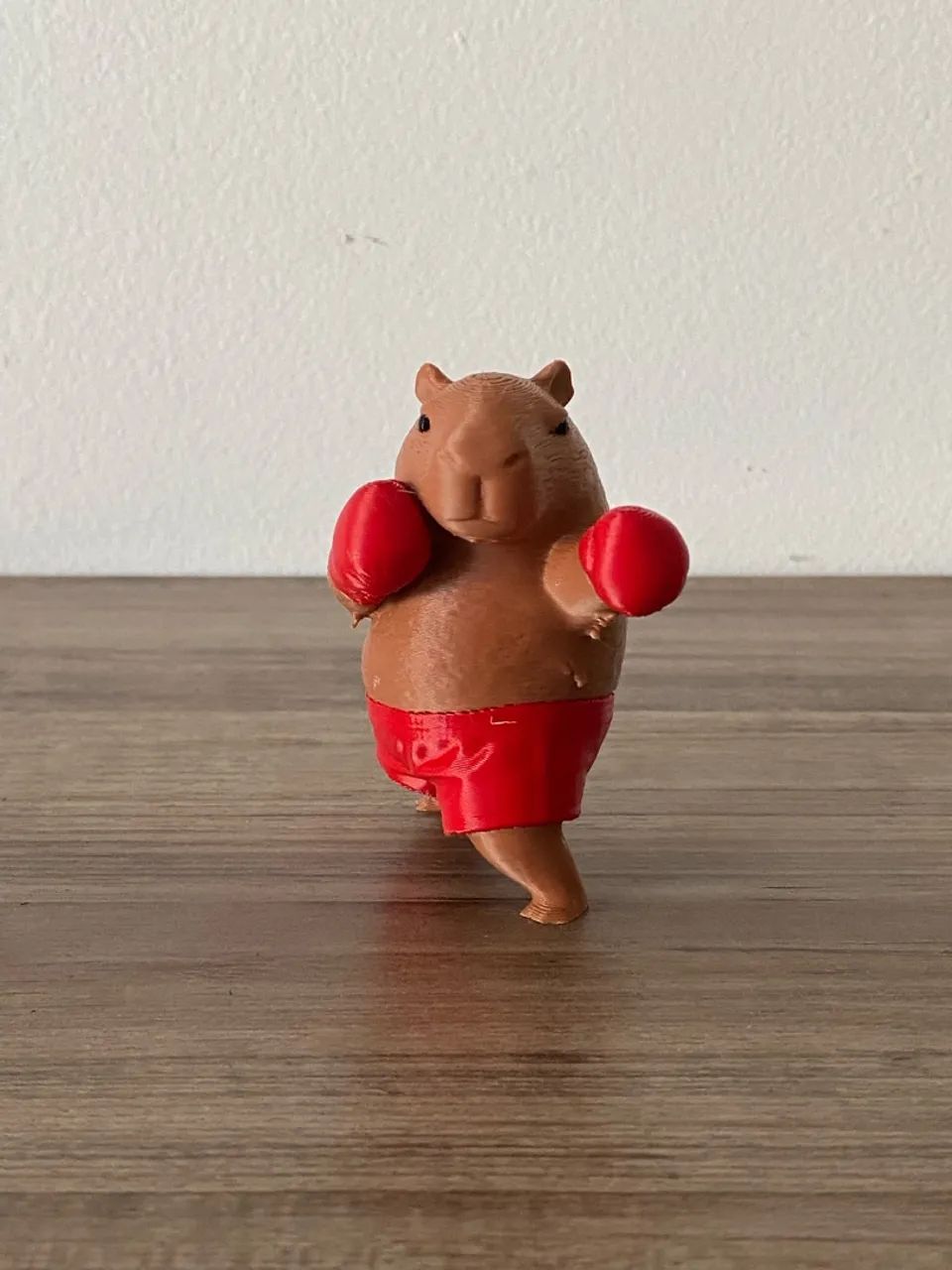 Capivara Boxeadora - Foto 4