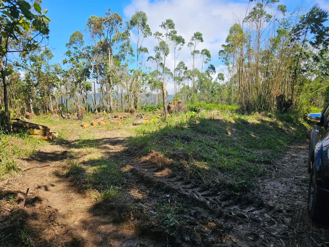 Sítio em Taiaçupeba Mogi das Cruzes - Foto 3