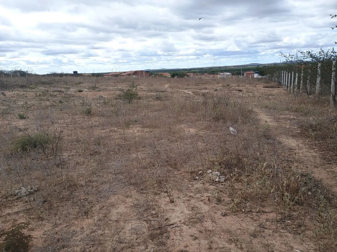 Terreno  - Foto 3