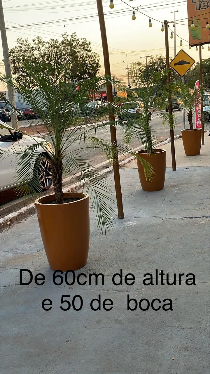 Vendo Vasos de cimento  - Foto 3