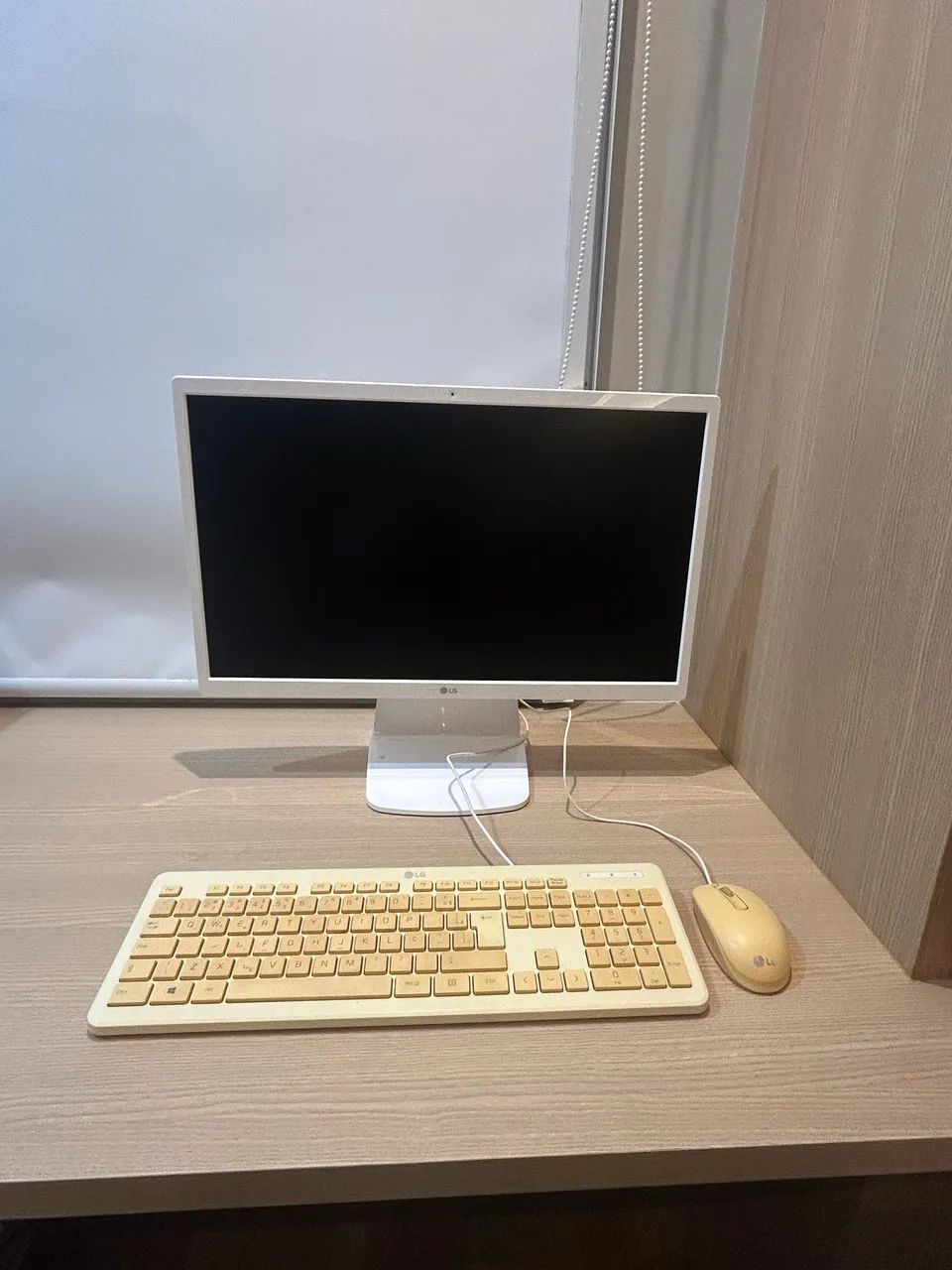 Computador All in One LG 24V36