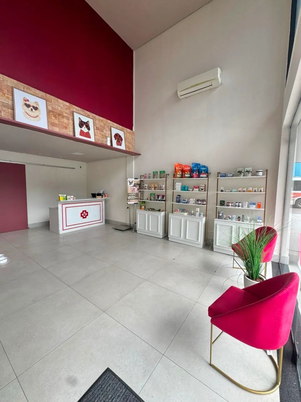 Vendo loja veterinária com Consultório montado !  - Foto 2