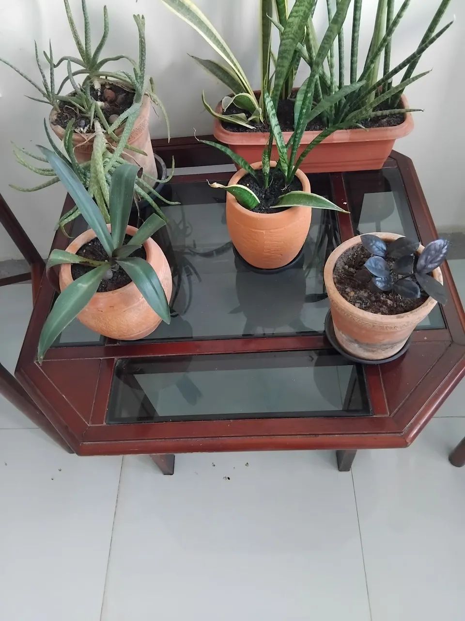 Conjunto de 2 namoradeira e um centro de madeira maciça  - Foto 5
