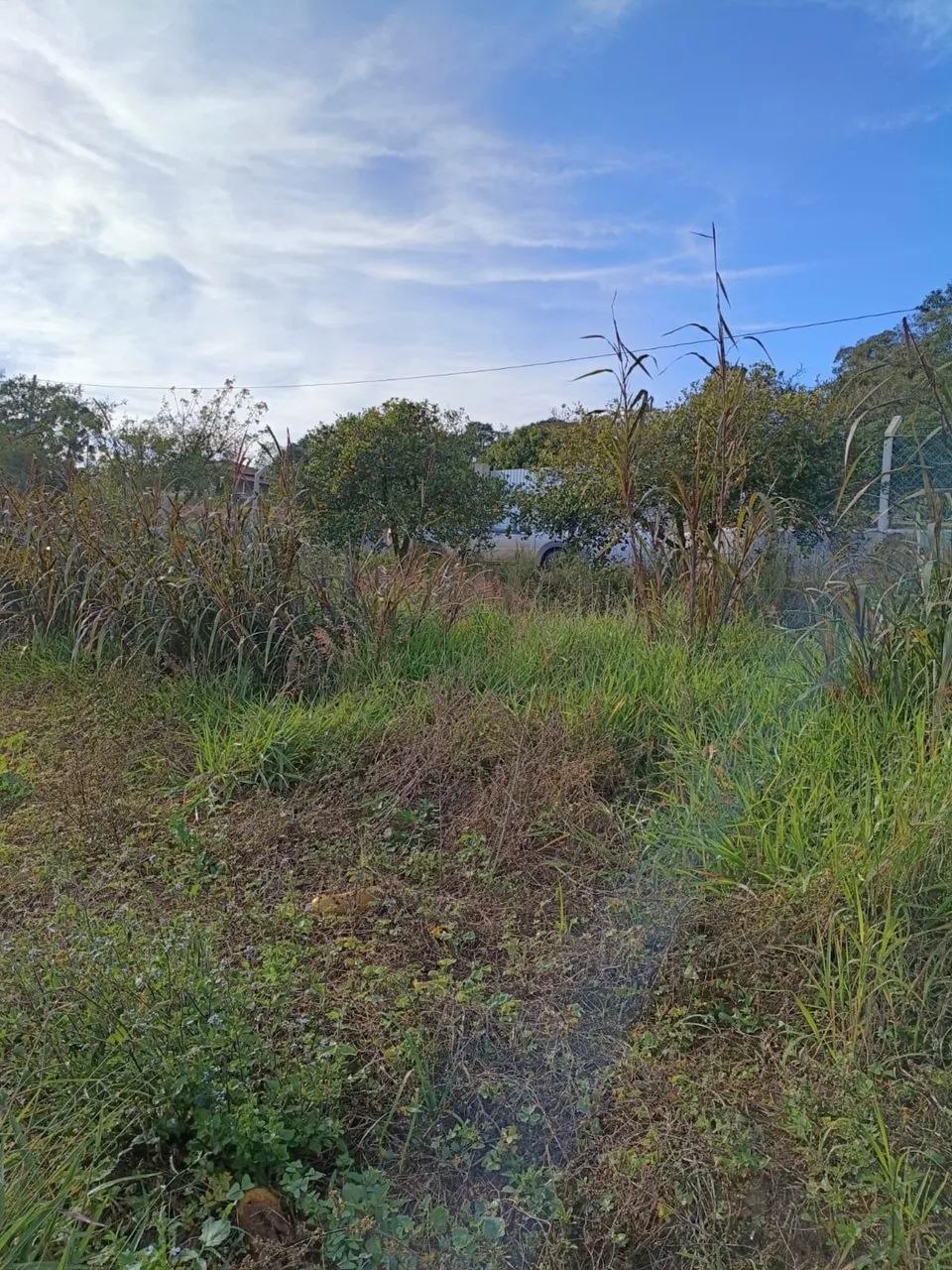 Vendo terreno em Piedade sp - Foto 3