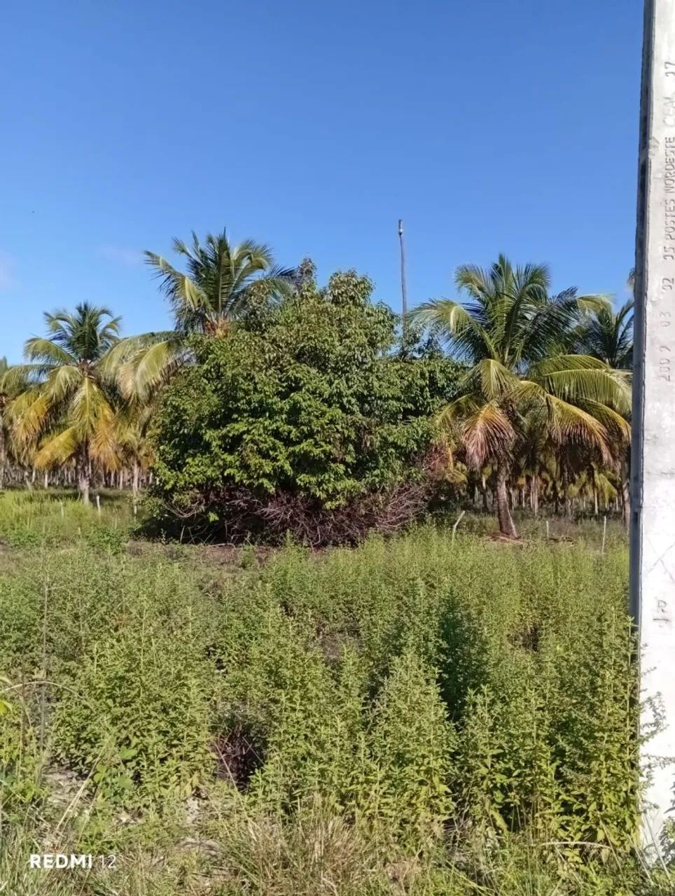 Lote para venda - Pontal do Peba - Foto 3