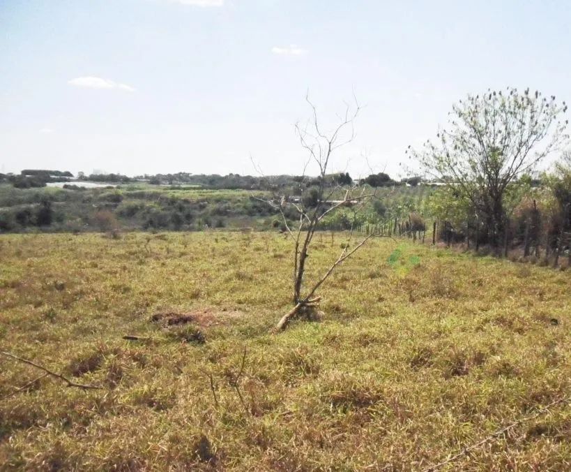 terreno - Chácara Santa Margarida - Campinas - Foto 2