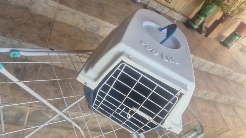 Caixa de transporte Dog Lar - Foto 4