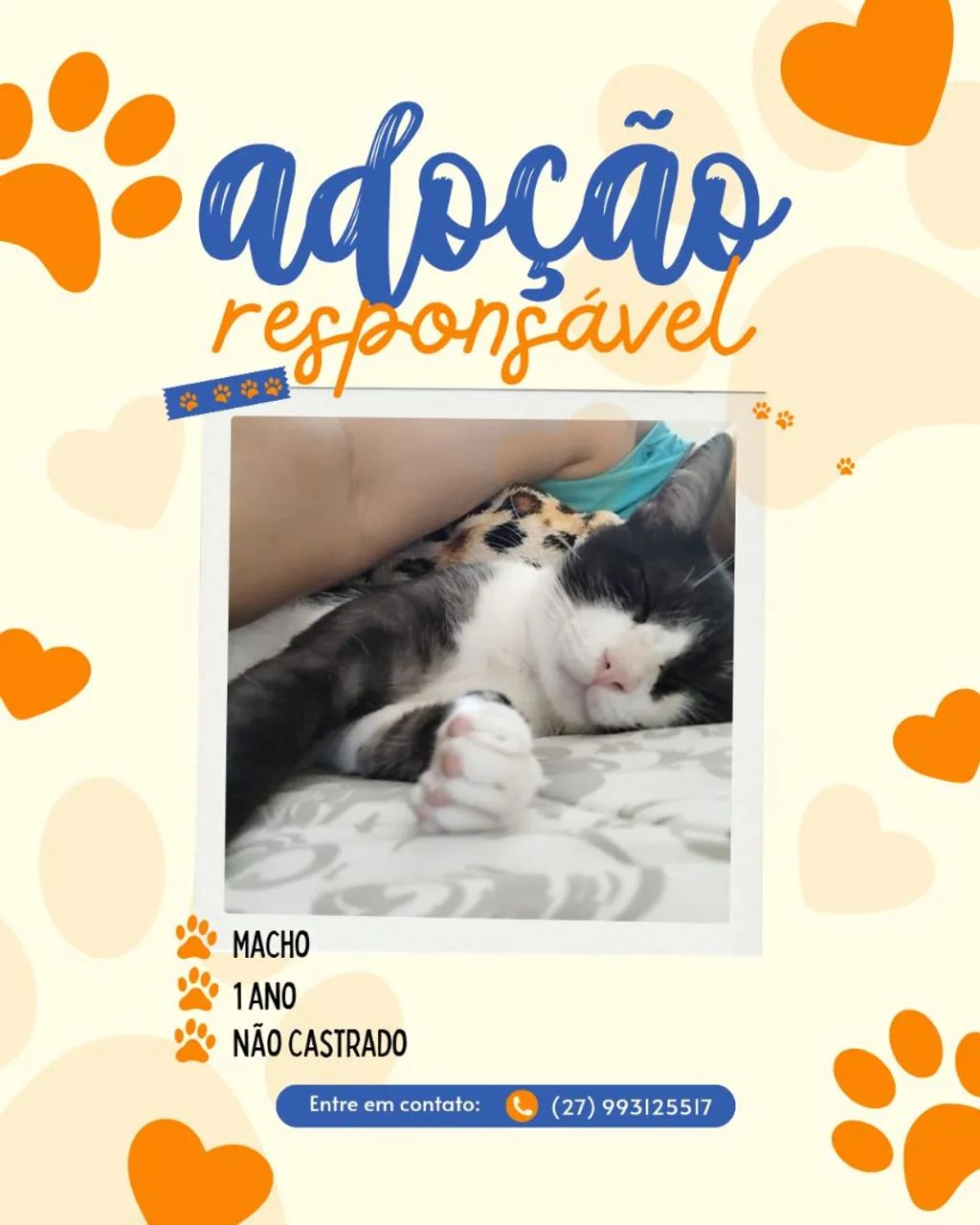 Adoção responsável