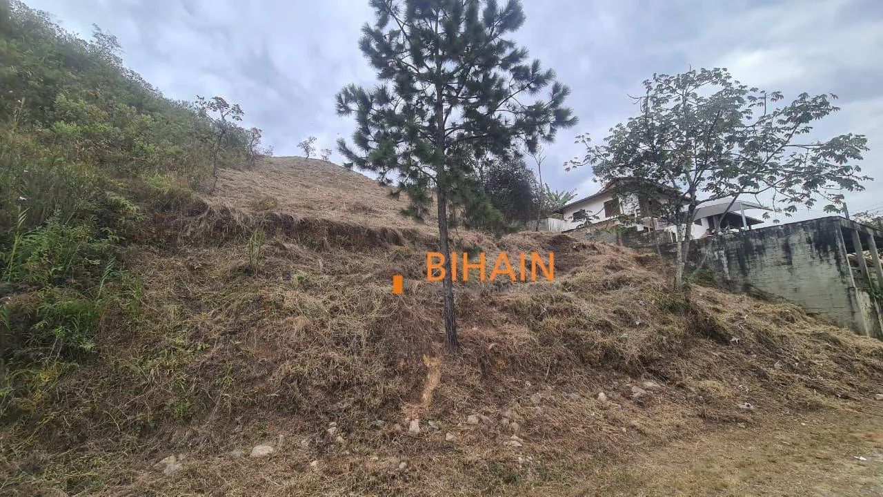 Terreno à venda, 1400 m² por R$ 1.470.000,00 - Vila d'El Rey - Nova Lima/MG - Foto 6